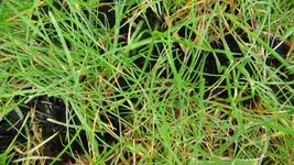 K640_Sommerende 072.webp