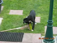 11.08.2010 012.webp