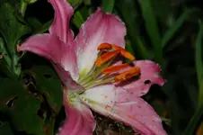 DSC_6252.webp