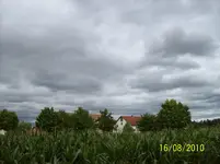 000_0002.webp