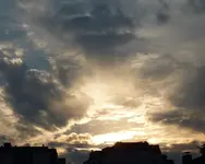 P1050755.webp