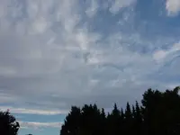 P1050756.webp