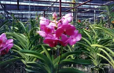 img059.webp