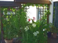 Dscf9950.webp