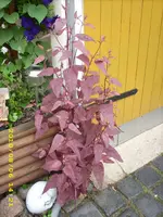 JD500541.webp
