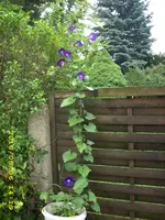 JD500539.webp