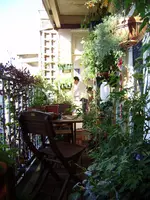 balkon_august 083.webp