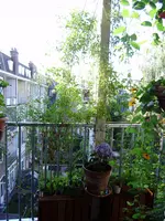 balkon_august 054.webp