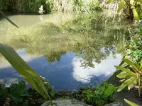 August 2010 224 v.webp