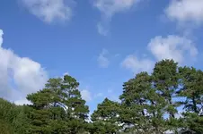 August 2010 264v.webp