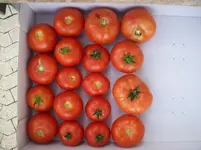 100_1649.webp