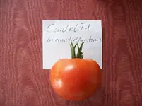 100_1653.webp