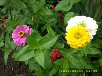JD500024.webp