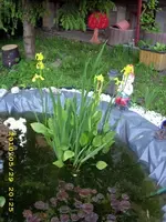 JD500157.webp