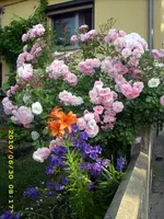 JD500427.webp