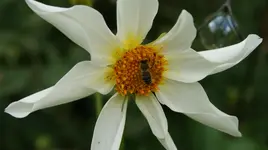 DSC03893.webp
