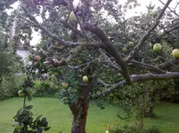 Bild0108.webp