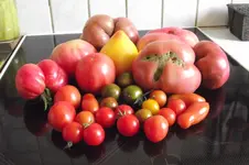 Garten 010.webp