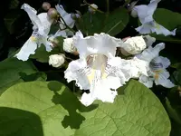 P25-06-10_09.46 (Medium).webp