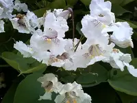 P25-06-10_09.48 (Medium).webp