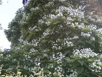 P25-06-10_09.48[1] (Medium).webp