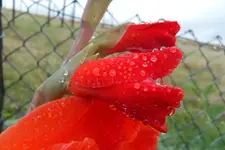 HeimAug 10-47.webp