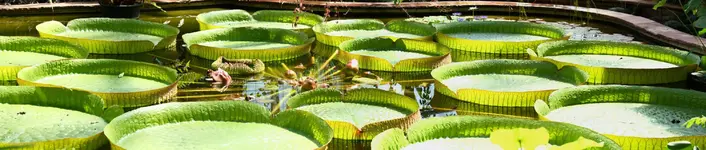 Panoramabild 1 - Kopie.webp