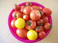100_1678.webp