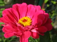 IMG_2190.webp