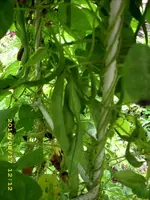JD500028.webp