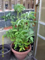 JD500431.webp