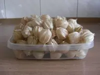 Physalis 2010.08.20.webp