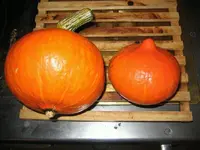 32530.webp