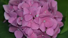 DSC03911.webp