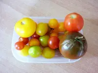 Ernte_200810.webp
