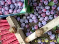 JD500527.webp