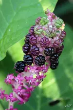 blog_3773.webp