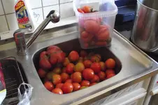 Garten 027.webp