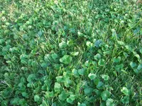 IMG_0265.webp