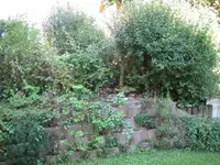 IMG_1530.webp