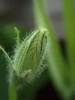 P8219197 i.webp