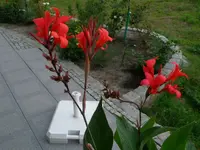 P8210614.webp