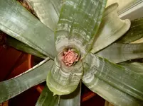 22.08.2010 029.webp
