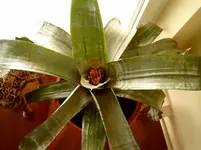 22.08.2010 032.webp