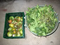 IMG_0282-1.webp