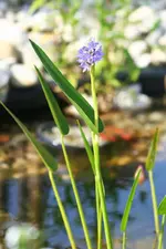IMG_7252_klein.webp
