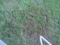 DSC03163 - Kopie.webp