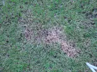 DSC03166 - Kopie.webp