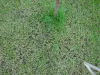 DSC03171 - Kopie.webp