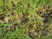 DSC03176 - Kopie.webp